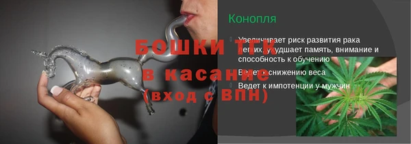 индика Навашино