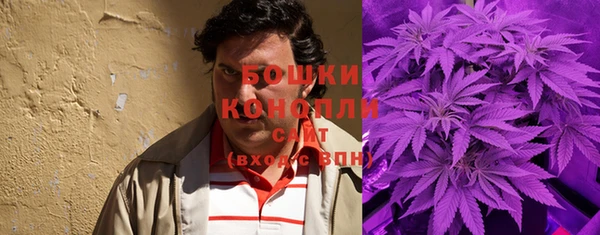 сатива Нея