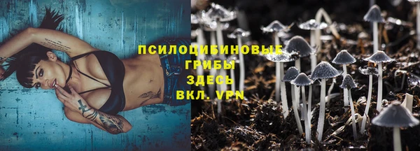сатива Нея