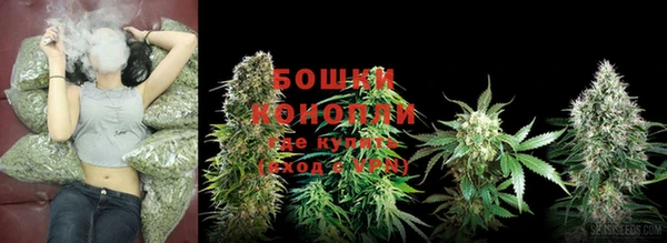 сатива Нея